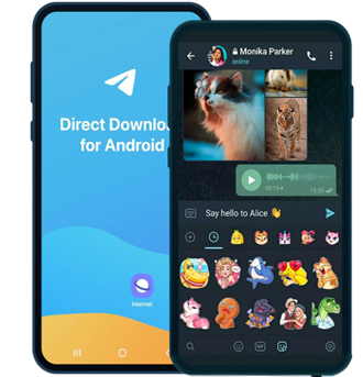 tg纸飞机中文包